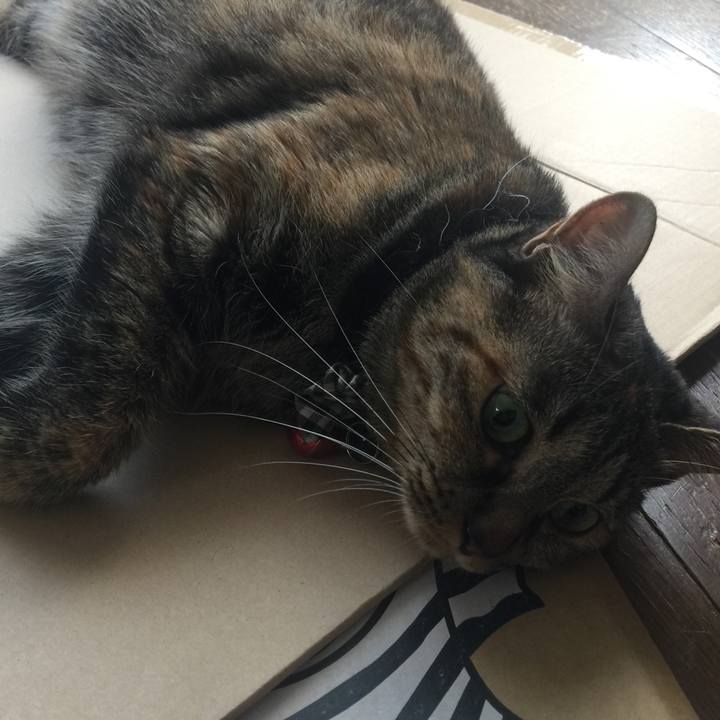 Ea64c909 ae95 41fc 9c98 a7f9c0828646