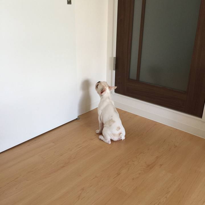 Ea651947 72fe 4223 83d1 22f97e31b85e