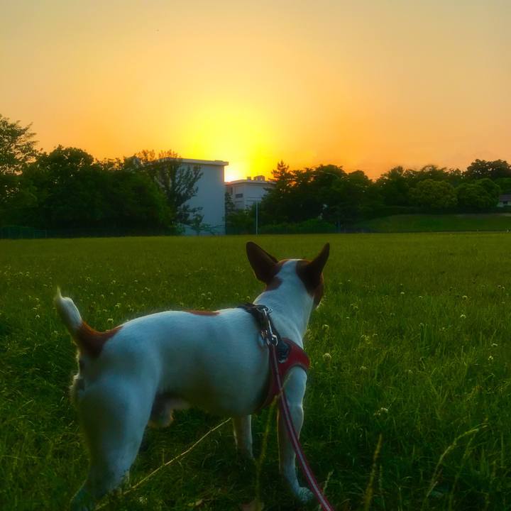 Ea658702 0d9b 4ad9 995c ac33e45e6757