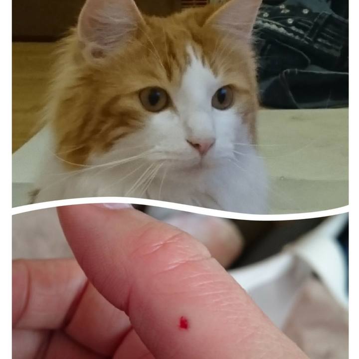 Ea660c6d aafa 4a88 92a5 38ab8139ad5e