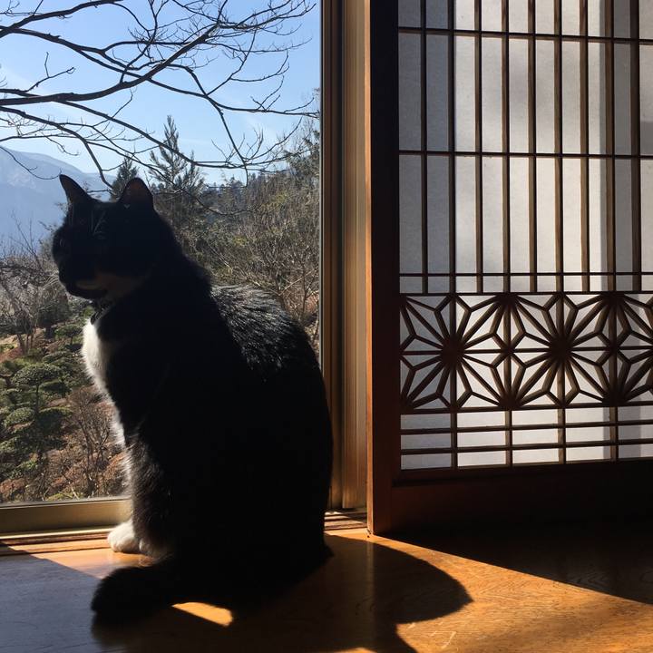 Ea66bfd6 c314 4120 9d66 1ce6104c01d1