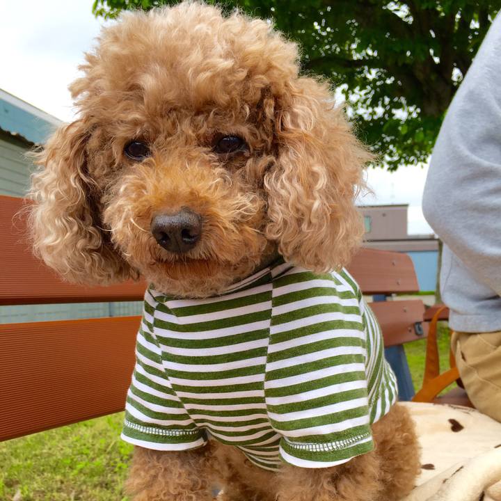 Ea6715f8 156e 44a7 8753 b891cef457d4