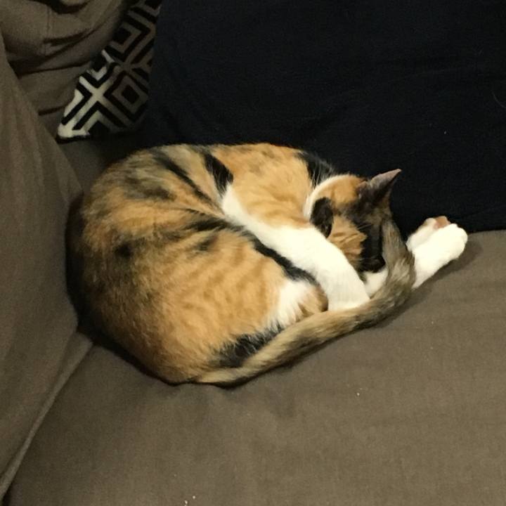 Ea67fd03 46ab 4382 b003 51ac895bf72d