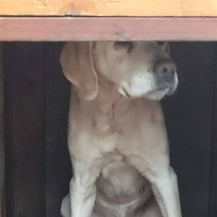 Ea683afe 08d4 46bf 87a0 ee92a5a057b3