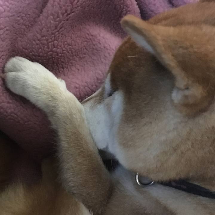 Ea6883f0 0227 491c 89bf 4fe1cb810afc