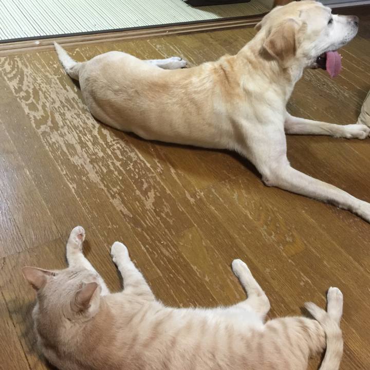 Ea688d55 5c45 4f2a 9a0c 5316f55a947d