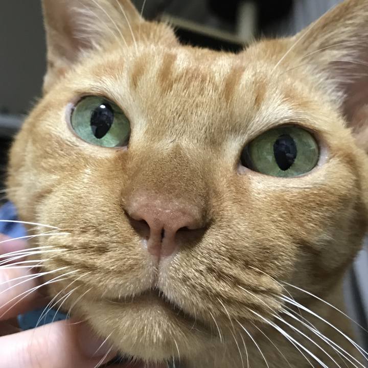 Ea689537 e9d4 4eb3 9150 ceb39c6dbc6c