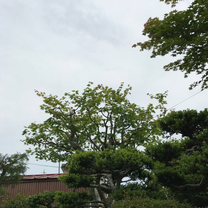 Ea68db8b 4ec7 4f1e 8adf de39260717bb