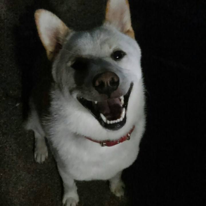 Ea69137f 9bc5 4979 a32e 7a2252e7fd46