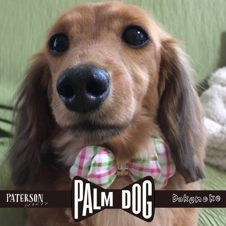 Ea69205b 0ed1 41d7 b45a 0830e2891b74