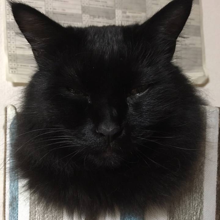 Ea693b4f 3064 4767 b80a 751603dbeb2c