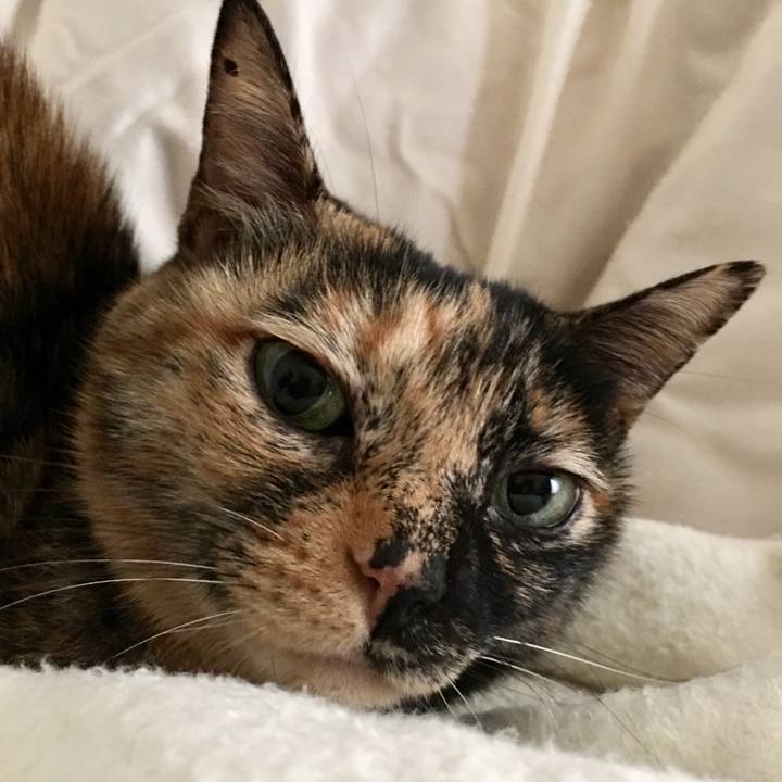 Ea6a1c67 9085 4e4f bace bd2c0acace2d