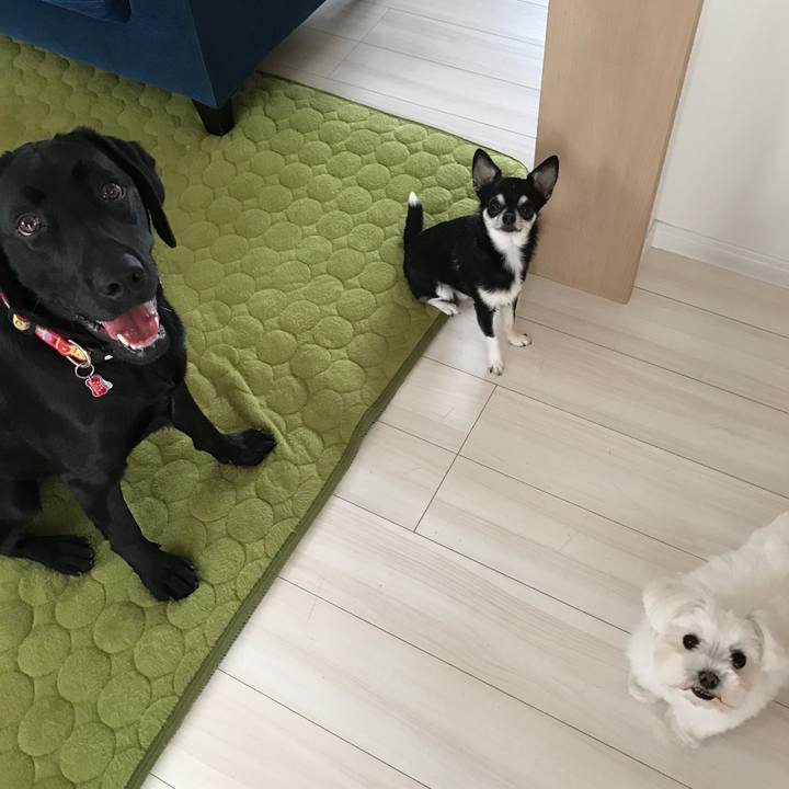 Ea6a232b 7ab8 4e68 b96a d68049f3eb45