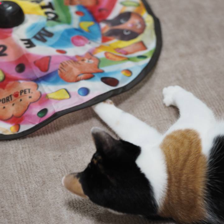 Ea6b063c 6ccd 4209 b554 d907e3986a62