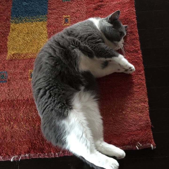 Ea6b8454 03a0 42ce b512 422de7960454