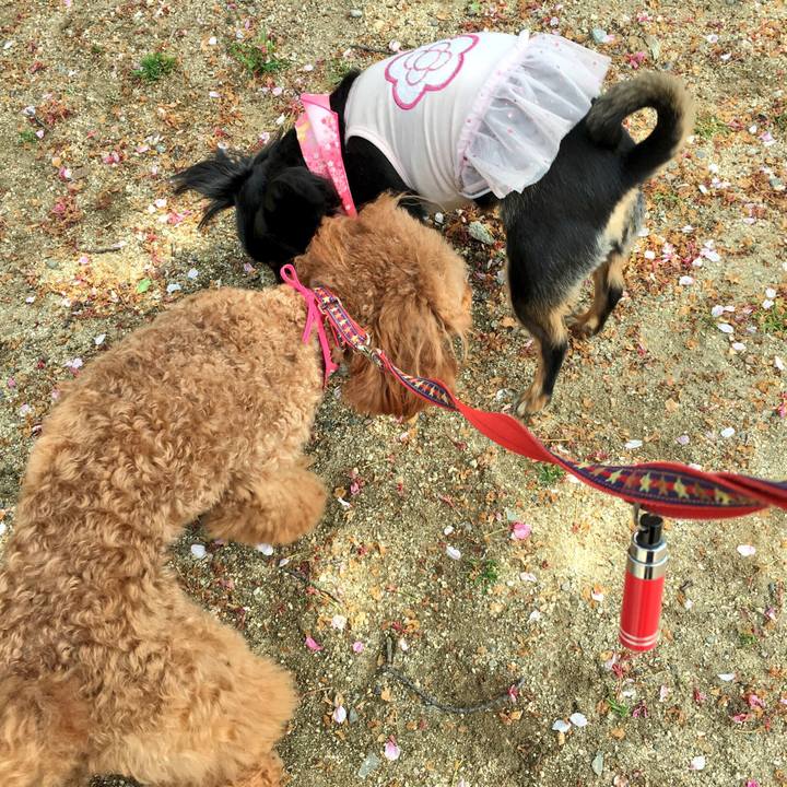 Ea6bed5e a080 4d20 9cea 16f141ecd1b5