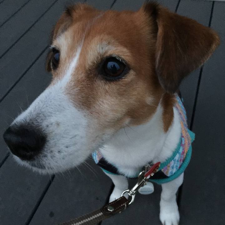 Ea6bf468 fb1f 40c2 a7ce ca3f3df8b8e9