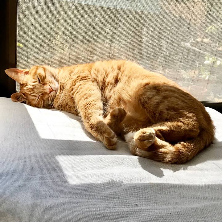 Ea6bf529 577e 4281 9d37 18f58d9e367a