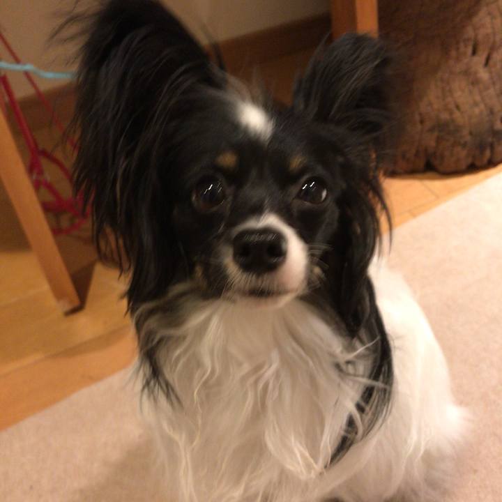 Ea6bf544 c1ca 4369 8218 b9170f61fa59