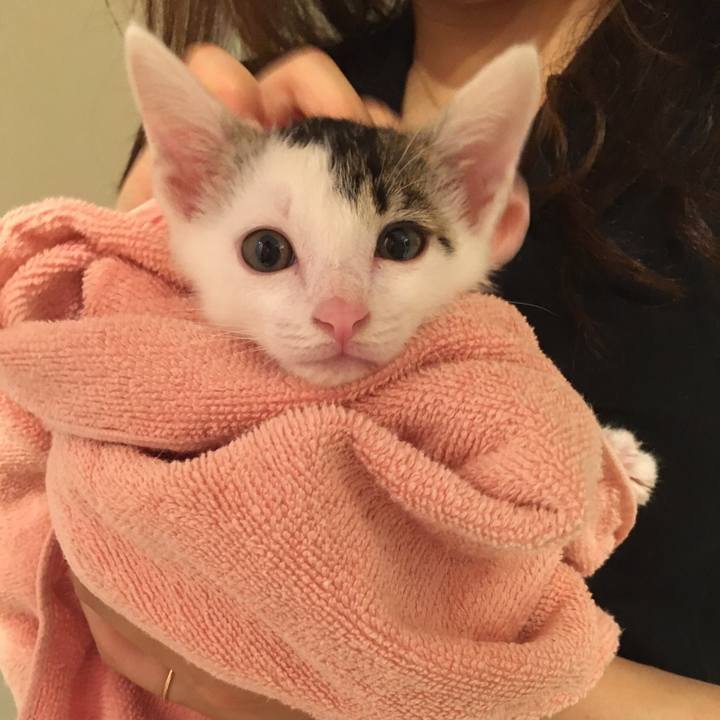 Ea6cac32 c764 460c 8f6c 912350baf5c4