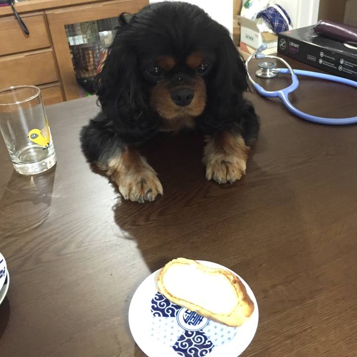 Ea6d0b1d aa7a 4f12 a24b 64a45fbbb057