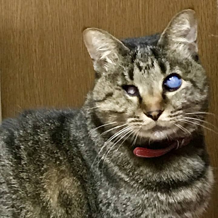 Ea6d3869 7619 400f 99d5 fda1a9738d01