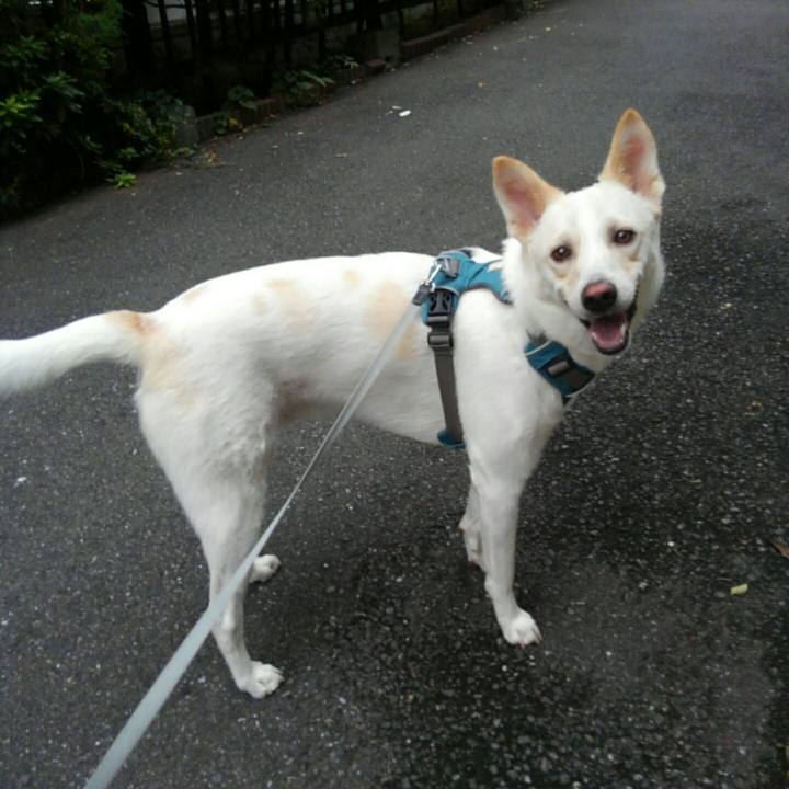 Ea6d9a7d daa0 4409 81d4 03c4394972a5