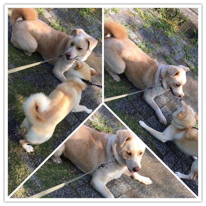 Ea6dab51 2857 43a6 a4ca b5b7bf52cca6