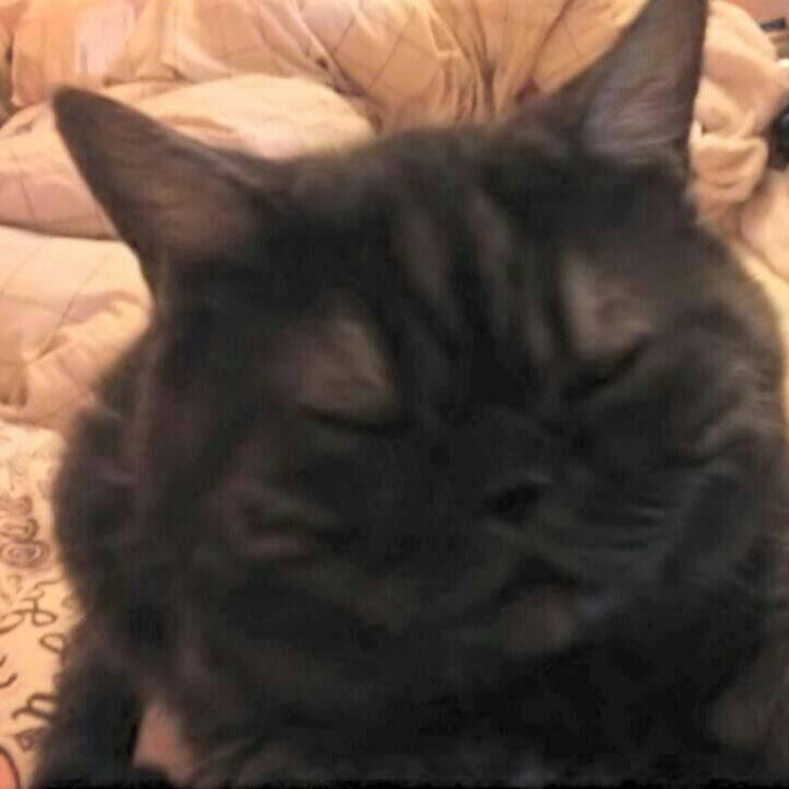 Ea6de7bf 2e43 4a22 909d e8f4ce638c20