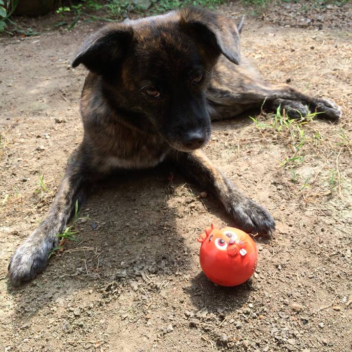 Ea6dfe85 c1c9 499f 8d63 06bb7d1ca9f6