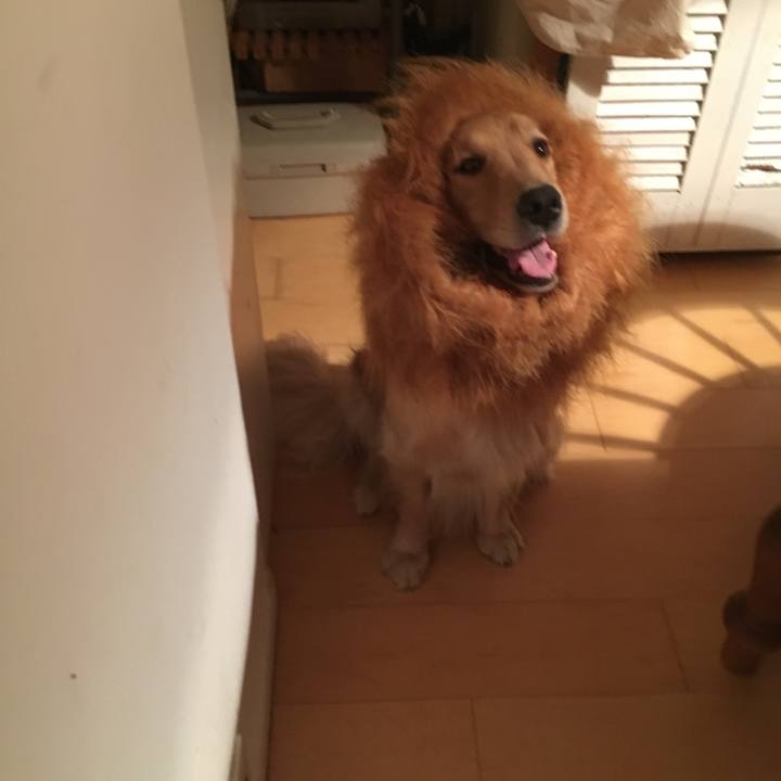 Ea6e31c8 c8a9 439c ac87 81439f82589c