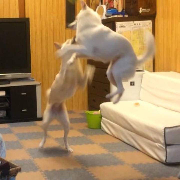 Ea6f9d0b 0ef9 4943 b3a9 5f6fc65f0944