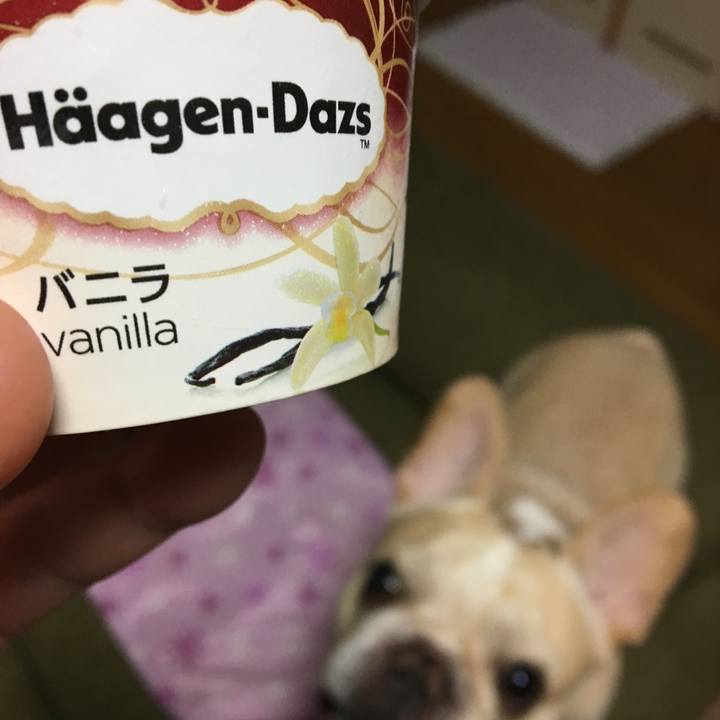 Ea6fa794 7ccb 4d60 939e 6fbab8cf5141