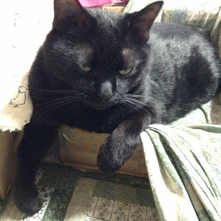 Ea709852 41b8 46e9 9194 b44880b22af6