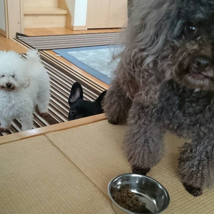 Ea70f3f2 8c32 46c7 9f35 e0e1d6aee6ba