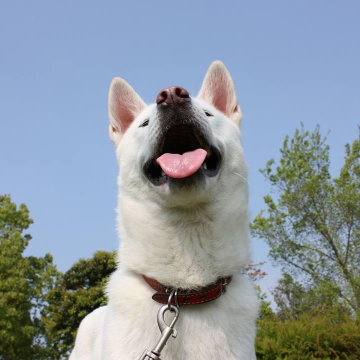 Ea712477 d64e 45ec 8543 501bdf696777