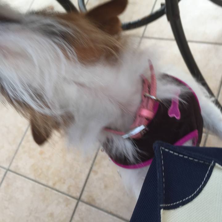 Ea713d24 76fd 4f80 8d52 f2f45f67b282