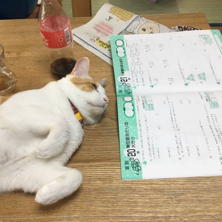 Ea7140f4 969e 43cf 98ee 1adc783a5b19