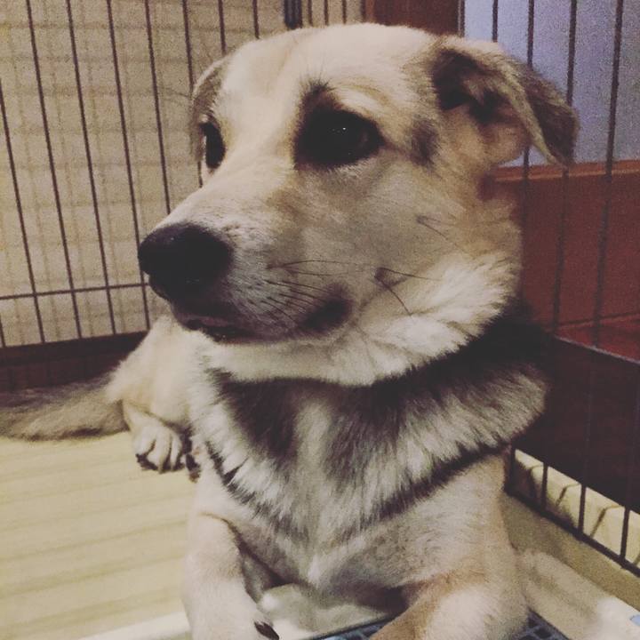 Ea71787f a80d 4789 8921 fb55c473a174