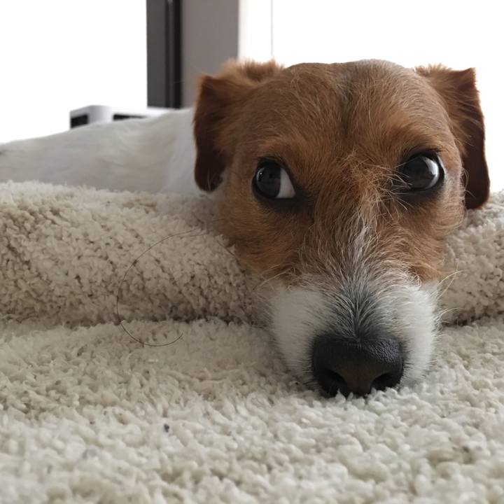 Ea71eeea 36f2 49f2 b579 d6f4d0debec8