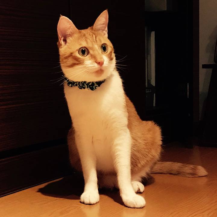 Ea73ee78 280d 460c b862 db786e5d1f8e