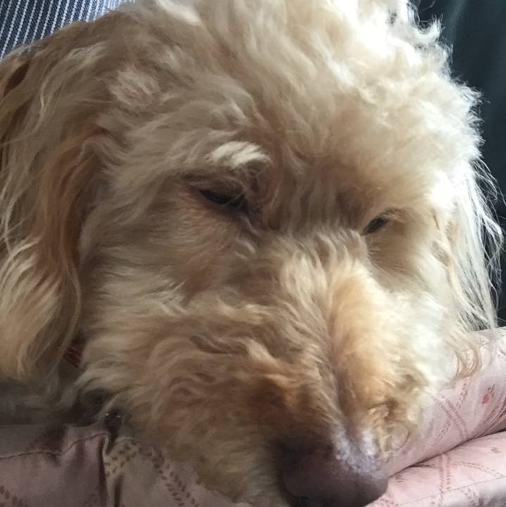 Ea74263e 85d3 4258 94b2 12ecf68c7870