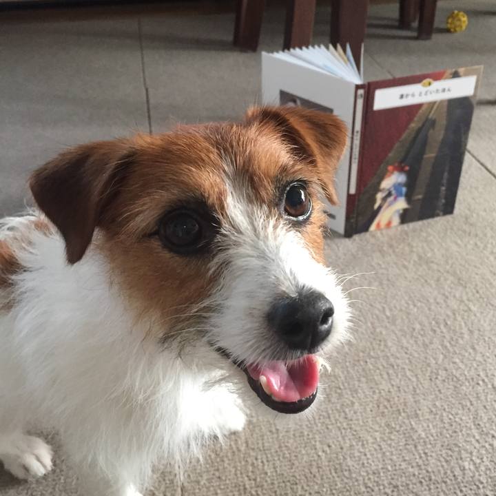 Ea74f4da 8316 45fa b054 00ca3779e068