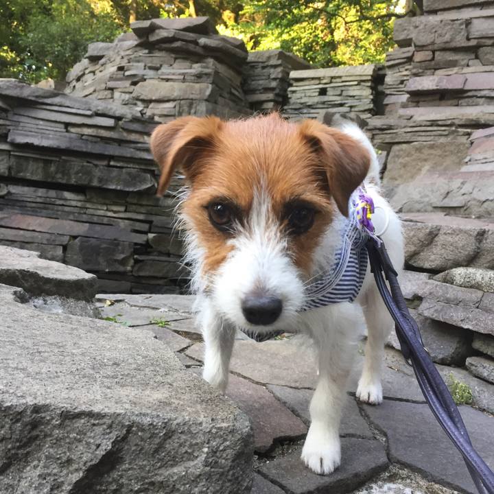 Ea75acd8 3d7e 4c39 8569 57ac3d3f362f