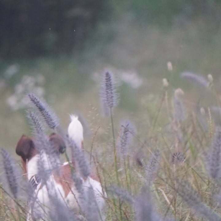 Ea767bf4 c1ee 4440 a39e 21b0923b3f3c