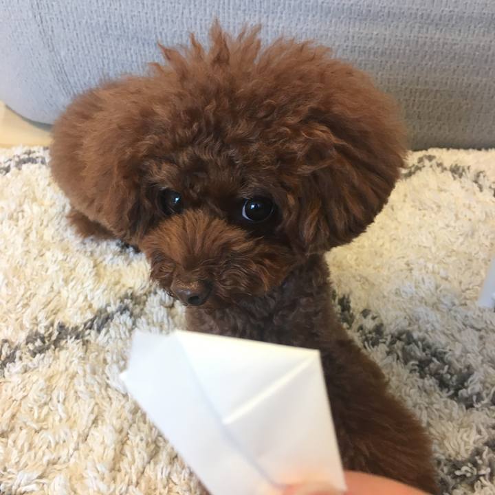 Ea768430 9252 4772 b5ca d99e7828d189