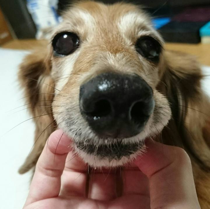 Ea76883c c2eb 4bf0 83ed 19e152081ed1