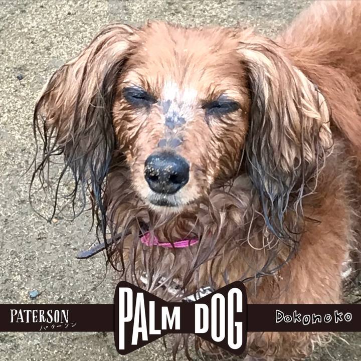 Ea7689b8 f101 49a3 9021 03ee3ed7ecbb