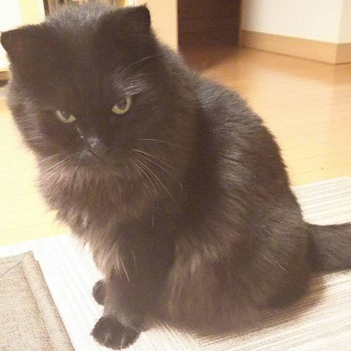 Ea7714d6 9cd3 48ac 9724 2a00116f3e25