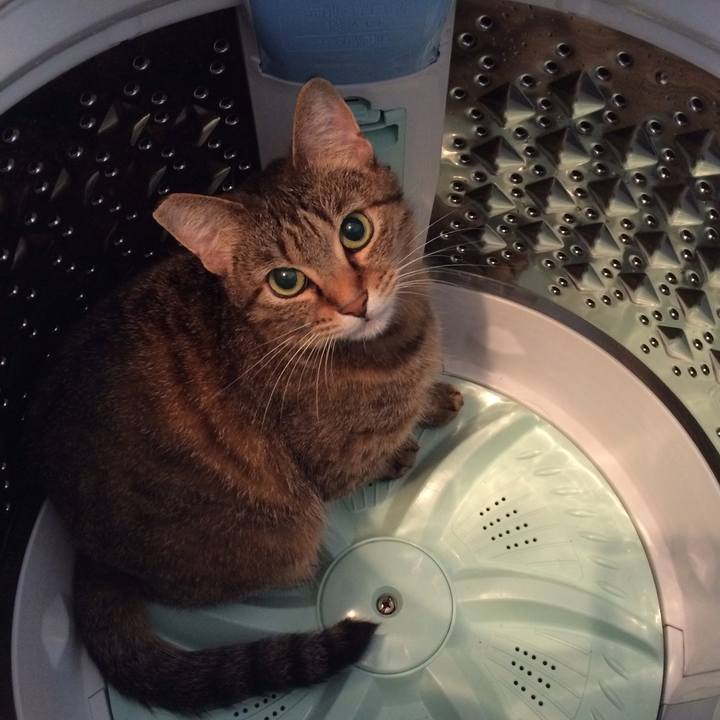 Ea776b23 a2f2 4830 bdb7 f4647e439d2a